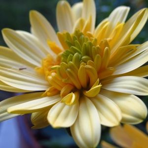 Meet your Posher, Nadia